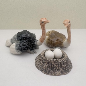 Può includere: Statuine di struzzo in ceramica, una sdraiata con piume nere e bianche, due in piedi con corpi marroni e beige e un nido con due uova bianche. Le statuine sono dettagliate e decorative.