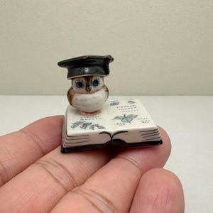 以下が含まれることがあります： 小さなセラミック製のフクロウの置物。黒い卒業帽子をかぶり、小さな開いた本の上にいます。フクロウは茶色と白の羽、青い目を持ち、装飾品です。本には青い花の模様とテキストがあります。