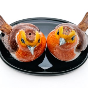 May include: A pair of ceramic robin salt and pepper shakers on a black plate. The birds are painted in realistic detail with brown, orange, and yellow colours.