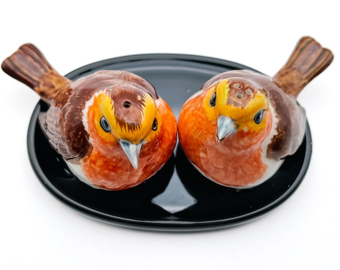 Whimsical Robin Bird Ceramic Salt & Pepper Shakers - Bird Lover Gift