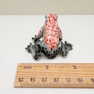Op de afbeelding: Een keramiek kikker beeldje met een grijs en zwart lichaam en rode en witte vlekken. De kikker is ongeveer 2,5 cm lang en zit op een houten liniaal.