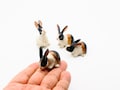 Hand-Painted Tricolor Ceramic Rabbit Miniature Figurine product logo