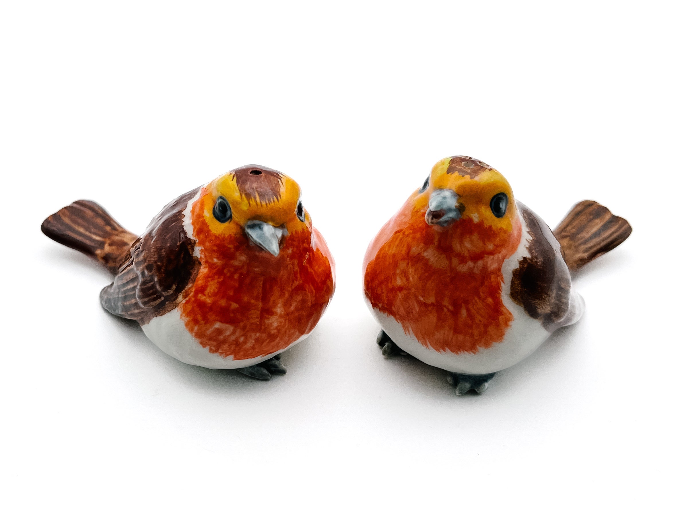 Whimsy Robin Whimsical Robin Bird Ceramic Salt & Pepper Shakers - Bird Lover Gift - Etsy