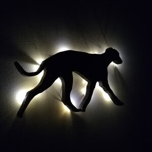 May include: A black silhouette of a dog running, illuminated by white lights on a dark wall.