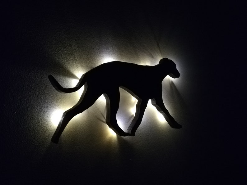 May include: A black silhouette of a dog running, illuminated by white lights on a dark wall.