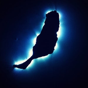 Fuerteventura Silhouettenlampe – LED Insel Deko – Geschenkidee für Fuerteventura Fans – Urlaubserinnerung Lampe