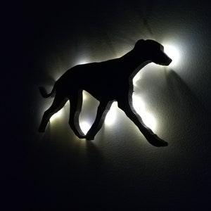 May include: A black silhouette of a dog walking, with white lights behind it, creating a glowing effect.