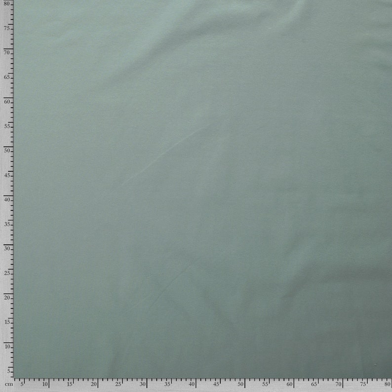 Cotton Jersey Oeko-Tex Jersey Meterware,HellmintJersey Uni Color Jersey