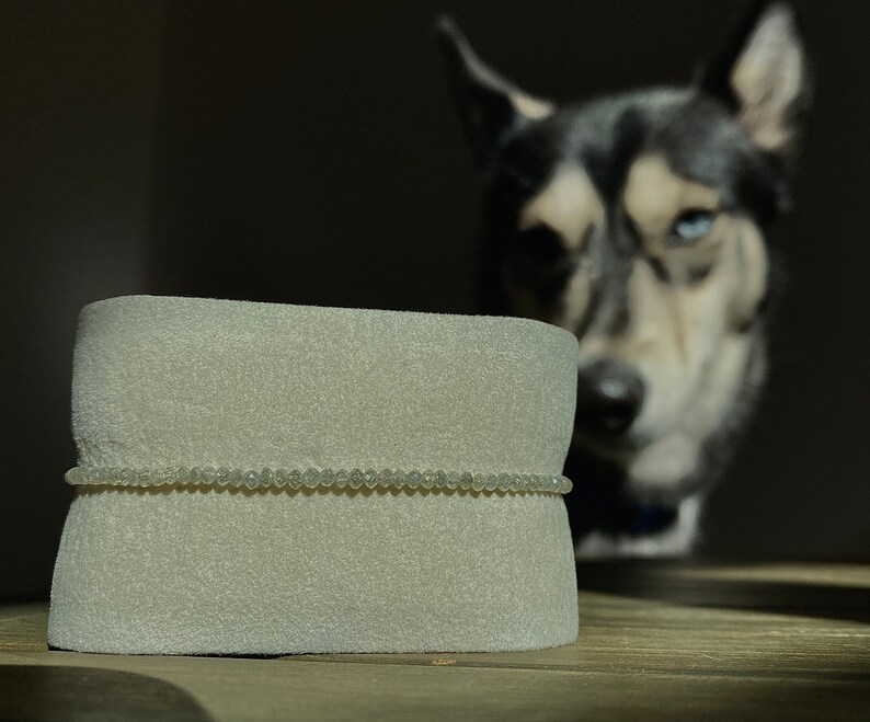 May include: A white foam cervical collar with a beaded trim. The collar is designed to support the neck and is often used after a neck injury.