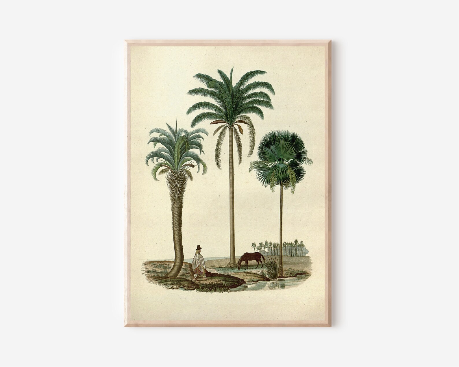 Vintage Tropical Print Palm Tree Wall Art Download Antique Etsy