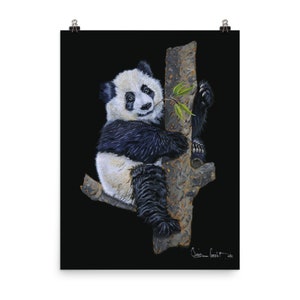 Cute and Cuddly Panda Bear // Acrylic Fine Art Print Poster