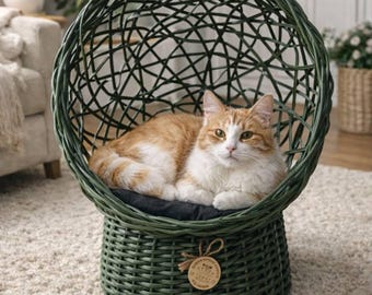 Modern Plastic Wicker Cat Bed with Ears | Cozy Pet House