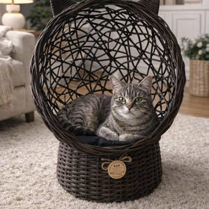 Caseta para mascotas de ratán tejido a mano: acogedora cama para perros y gatos / Ratán plástico de aspecto natural