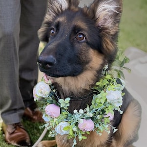 Dusty pink and white roses dog wedding wreath, dog wedding collar, flower crown for dog, engagement wreath