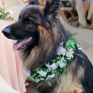White roses and peony flower wreath, dog wedding wreath, boho flower crown, classic wedding decor, dog wedding attire