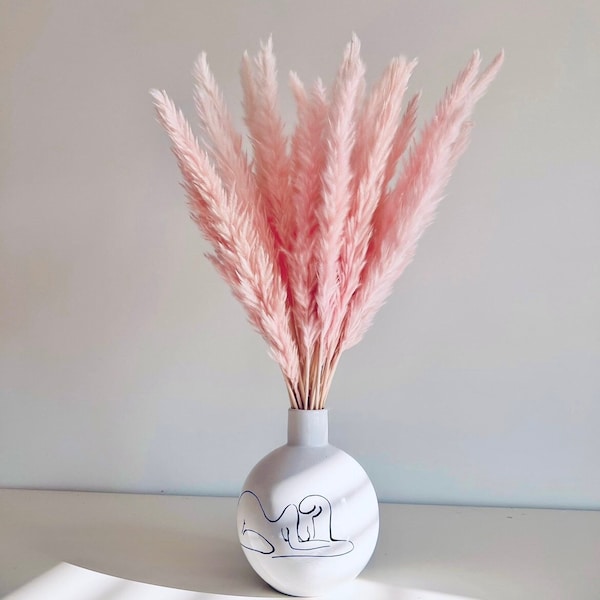 Blush Pink Pampas Grass | 60cm Bunch | 15/30 Stems | Pampas Grass Décor | Dried Flowers