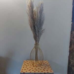 pampas