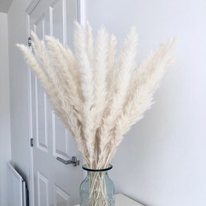 Faux White Pampas Grass for Home Decor, Artificial Pampas Grass, 100cm Tall  Pampas, White Pampas, Vase arrangement, Artificial flowers, UK
