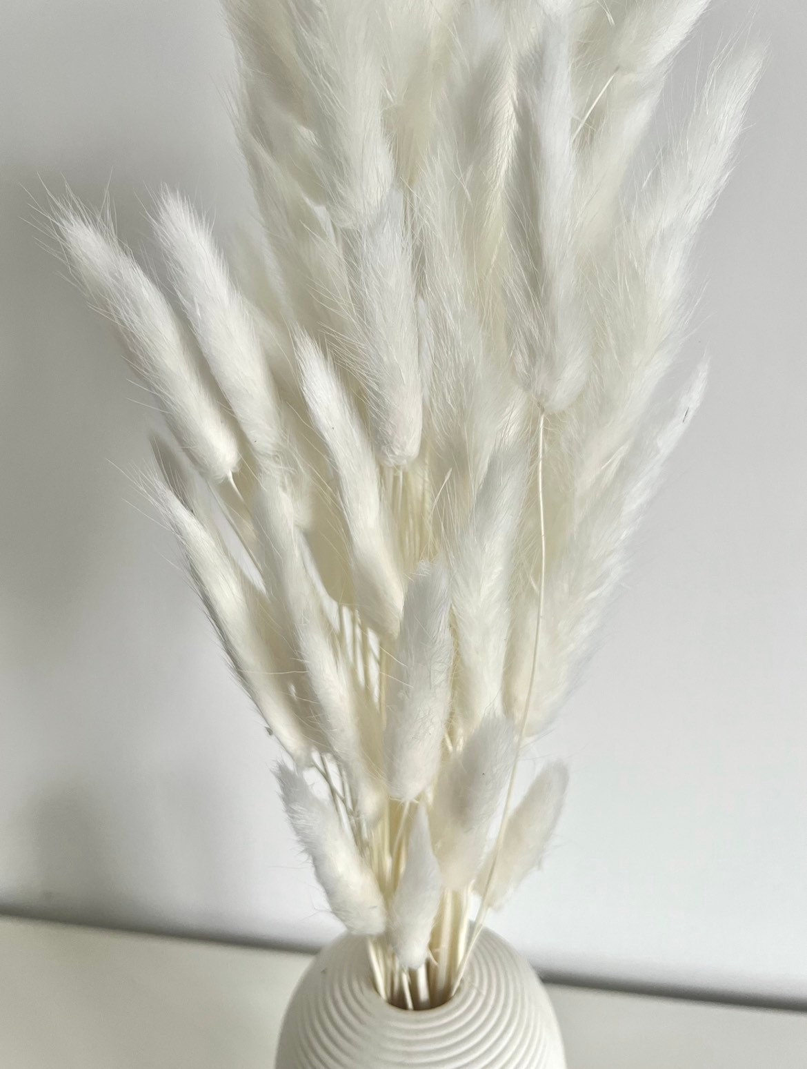 SALE 50 White Bunny Tails Bunny Tail Grass Dried Flowers Etsy UK