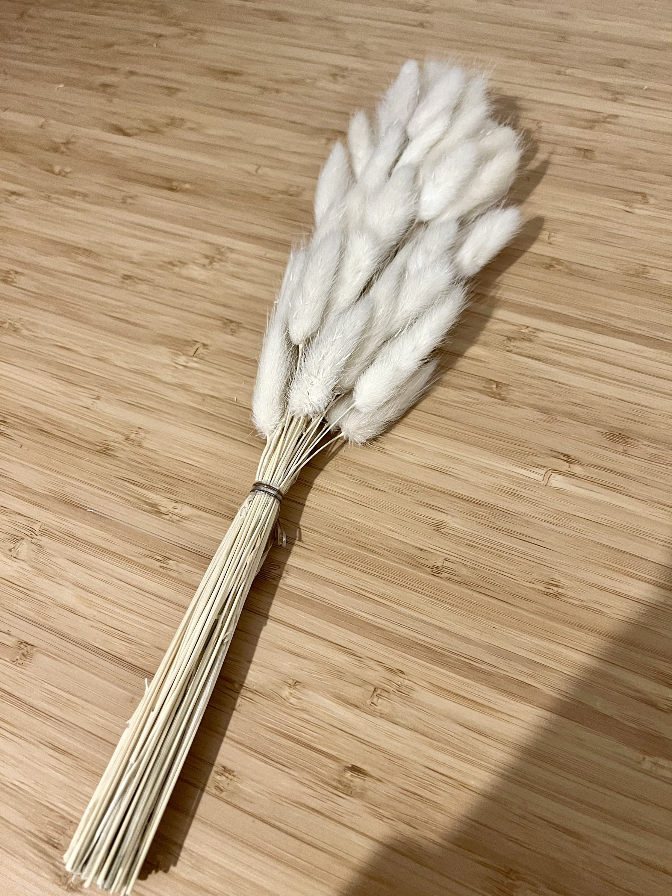 SALE 50 White Bunny Tails Bunny Tail Grass Dried Flowers Etsy UK