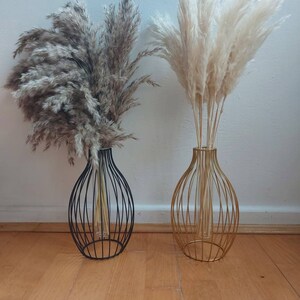 pampas nordic iron