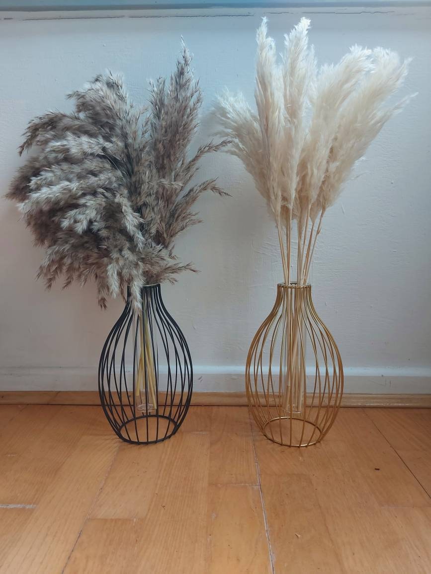 Small Vases For Pampas Grass at Travis Crow blog
