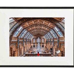 National History Museum London Fine art photo print Wall art Home decor New home gift Housewarming gift image 1