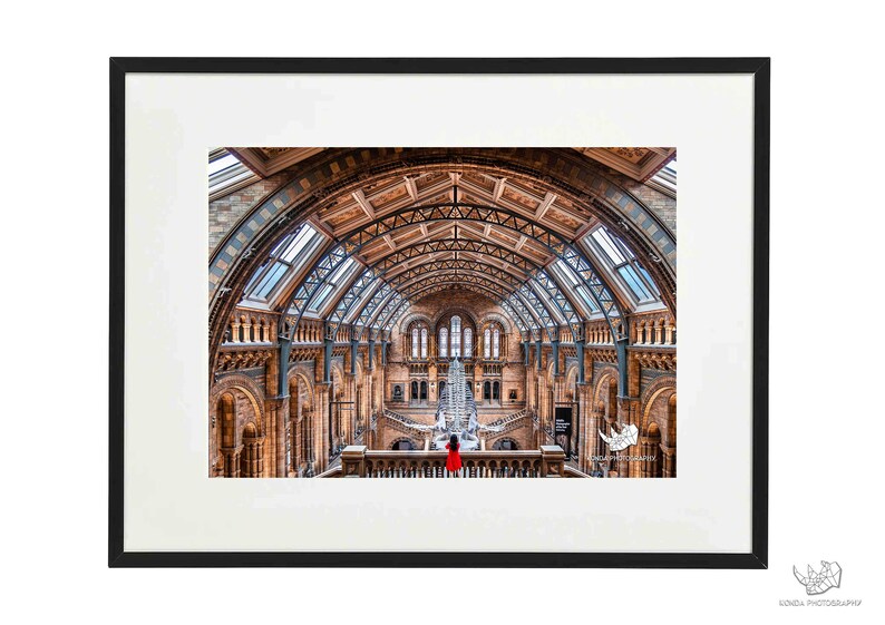 National History Museum London Fine art photo print Wall art Home decor New home gift Housewarming gift image 1