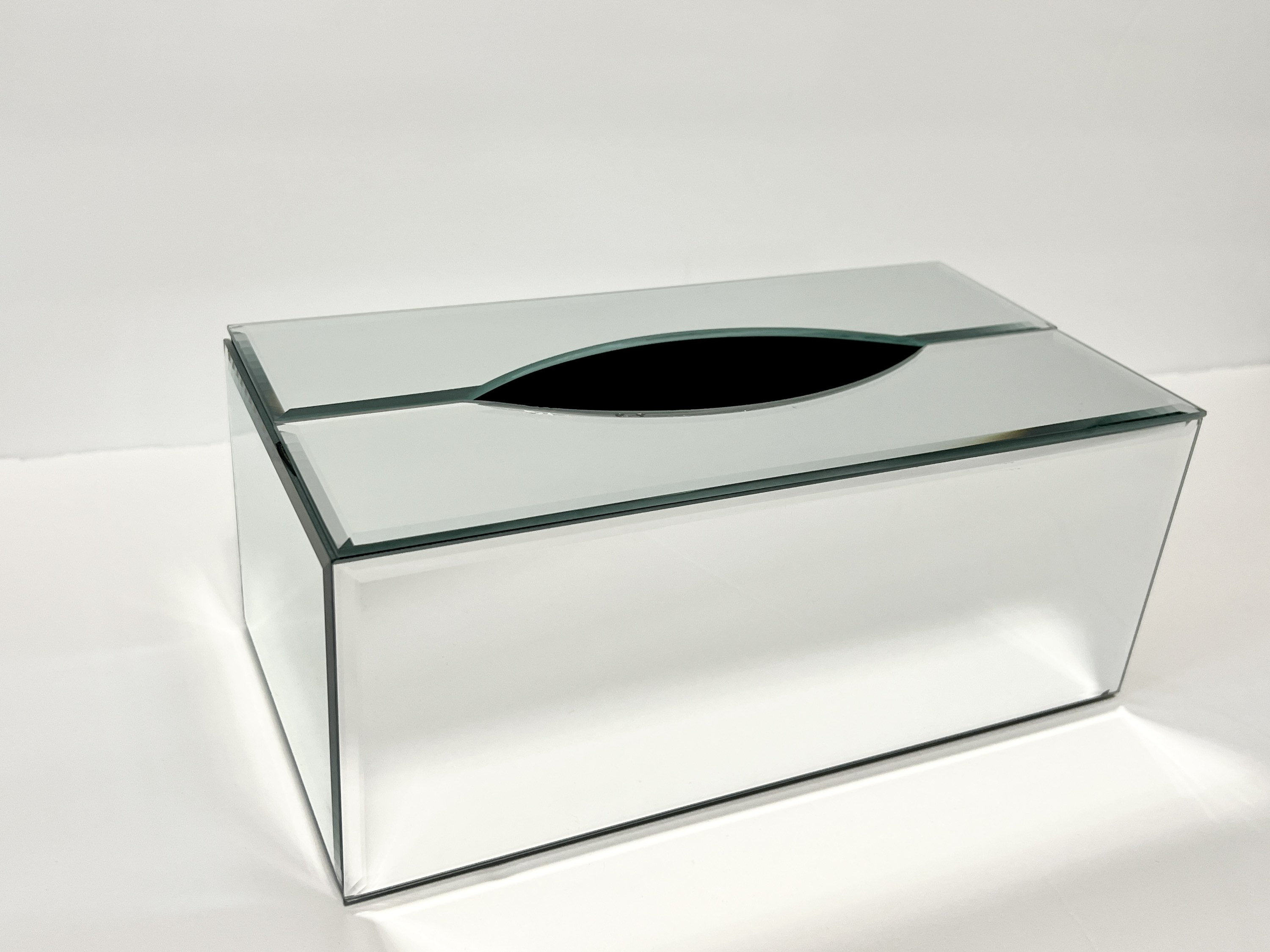 Mirrored 2024 tissue holder