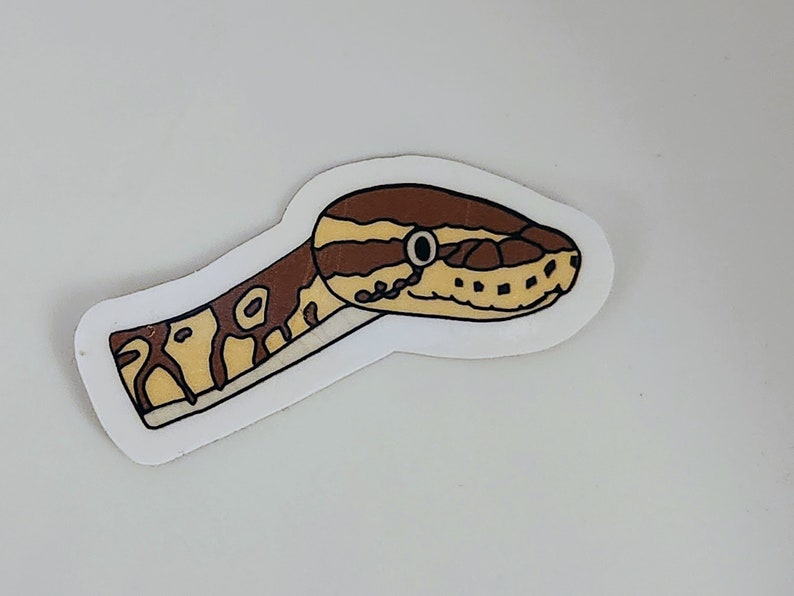 Op de afbeelding: Een sticker met een cartoonillustratie van de kop en nek van een slang. De slang heeft een bruin en beige patroon met een witte rand. Het oog van de slang is een zwarte cirkel.