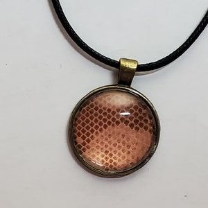 May include: Round pendant necklace with a bronze-colored frame and a black cord. The pendant features a close-up image of snakeskin in shades of brown and tan. The necklace is a fashion accessory.