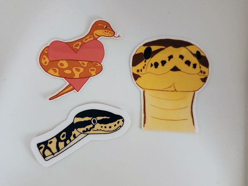Op de afbeelding: Drie kleurrijke slangenstickers. Een oranje slang is gewikkeld rond een roze hart. Een andere sticker toont een slangenkop met een geel en bruin patroon. De derde sticker is een slangenkop met een zwart en geel patroon.