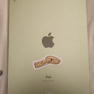 Op de afbeelding: Een lichtgroene iPad met een slangsticker op de achterkant. Het Apple-logo is zichtbaar. Het woord "iPad" staat eronder gedrukt. De sticker is beige met een slangenontwerp.