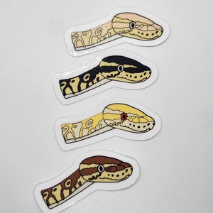 Op de afbeelding: Vier slangenstickers met verschillende kleurpatronen. De stickers bevatten gedetailleerde illustraties van slangenkoppen in tinten beige, geel, bruin en zwart. Elke sticker heeft een witte rand en de achtergrond is effen wit.
