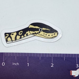 Op de afbeelding: Een sticker met een gestileerde illustratie van een slangenkop. De kop van de slang is voornamelijk zwart en geel, met een witte rand. De sticker is ongeveer 5 cm lang.