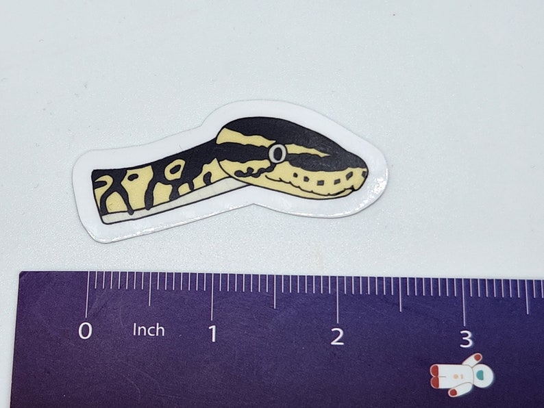 Op de afbeelding: Een sticker met een gestileerde illustratie van een slangenkop. De kop van de slang is voornamelijk zwart en geel, met een witte rand. De sticker is ongeveer 5 cm lang.