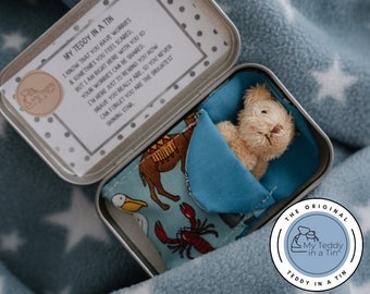 Beautiful children’s Worry teddy | help children with anxiety | Worry doll | miniature teddy | anxiety support | Christmas Stocking filler