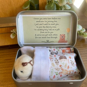 Sibling Teddy in a Tin New baby gift Teddy In a Tin TM Gift from baby Baby brother Baby sister Big brother gift Big sister gift image 6
