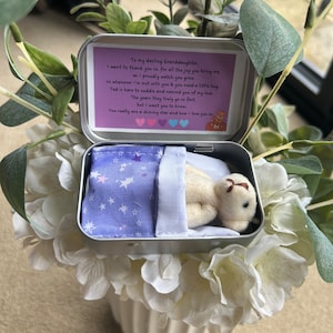 Nounours petit-fils dans une boîte métallique Cadeau petite-fille Nounours en boîte TM Cadeau petit-fils cadeau réconfortant pour un être cher Remplisseur de bas de Noël image 1