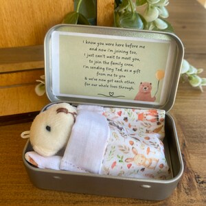 Sibling Teddy in a Tin New baby gift Teddy In a Tin TM Gift from baby Baby brother Baby sister Big brother gift Big sister gift image 5
