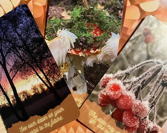 Könnte beinhalten: Drei Orakelkarten mit Naturszenen und inspirierendem Text. Eine Karte zeigt einen Sonnenuntergang, eine andere einen Pilz und die dritte, gefrorene Beeren. Die Karten haben braune Ränder und der Text lautet: "Sieh jeden Morgen als dein Portal in die Zukunft."
