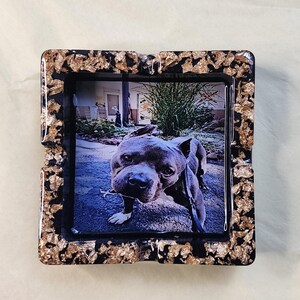 Op de afbeelding: Zwarte vierkante asbak met een bladgoud ontwerp. De asbak heeft een afbeelding van een grijze pitbull-hond erin.