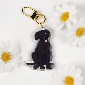 May include: A clear acrylic keychain featuring a black Labrador Retriever illustration with its tongue sticking out. The keychain has a gold-colored clasp. White daisies with yellow centers are scattered around the keychain.