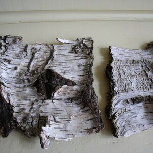 May include: Two pieces of birch bark with a natural, textured appearance. The bark is primarily white with dark brown and black accents, showcasing the tree's outer layer. The pieces are irregularly shaped, with a rough, organic aesthetic.