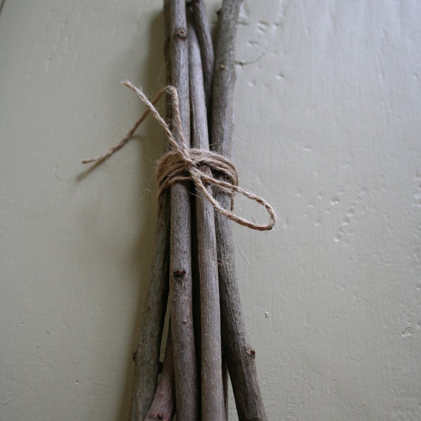 Branches of the lilac tree bundle of lilac tree twigs for rustic decor pagan crafts