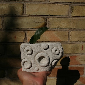 May include: A small, rectangular, light-colored stone planter with a leaf. The planter has a textured surface and a design of raised circles. The planter is held in a hand against a brick wall.