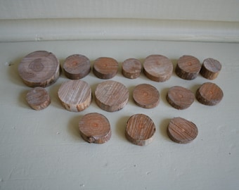 Rodajas de madera disco de madera fruta madera para decoración rústica 16 piezas madera seca