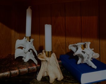 Velas de vértebras