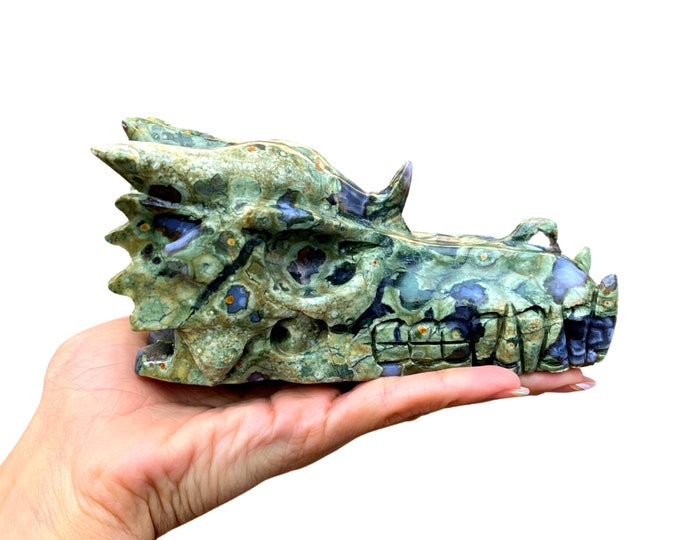 Jasper DRAGON Head