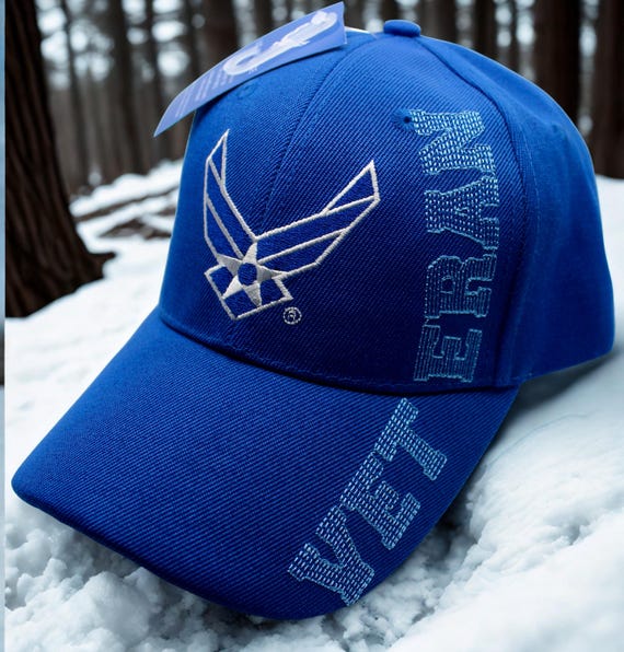 United States Air Force Veteran Air Force Logo Hat